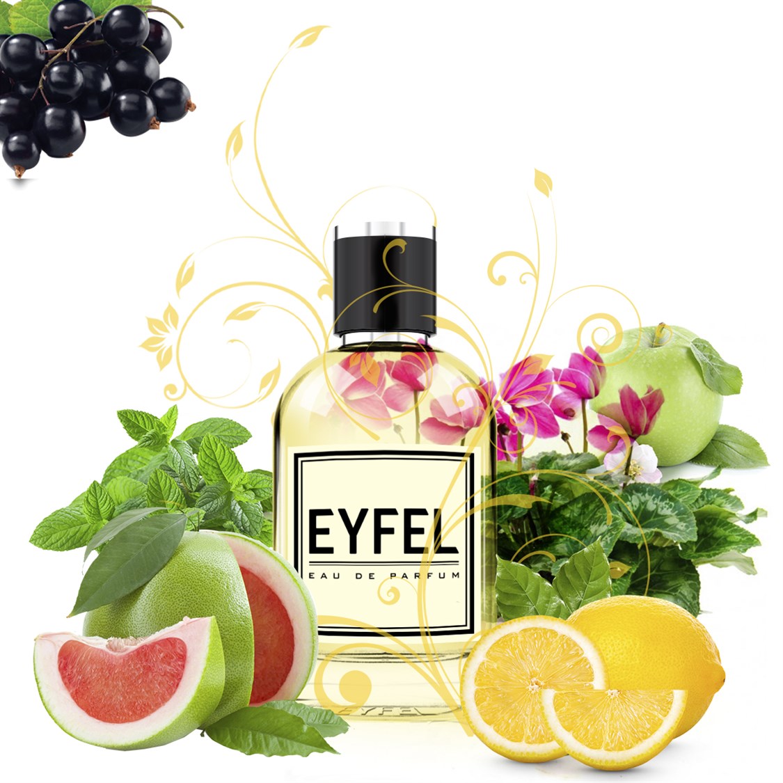 EYFEL M55