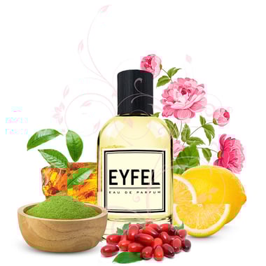 EYFEL W221